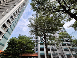 Blk 238 Jurong East Street 21 (Jurong East), HDB 5 Rooms #543935581